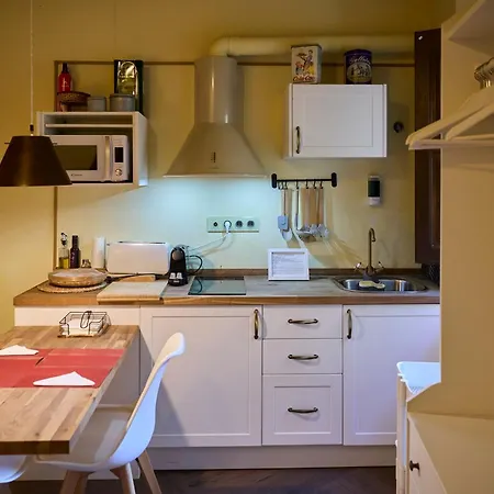Lägenhet Loft El Roure,